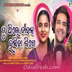 Tu Thile Jibana Hasiba Sikhe